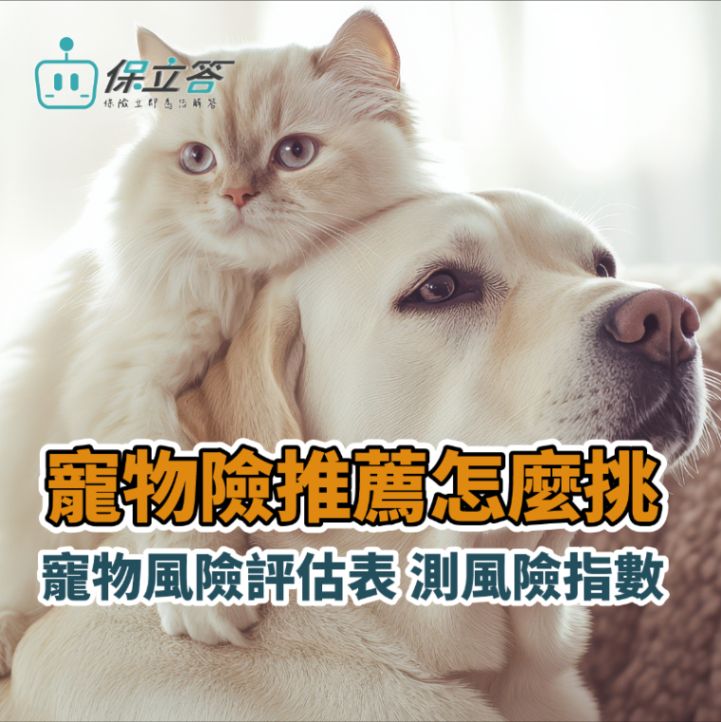寵物險推薦怎麼挑？ 這份風險評估檢測表，幫你快速決定方案