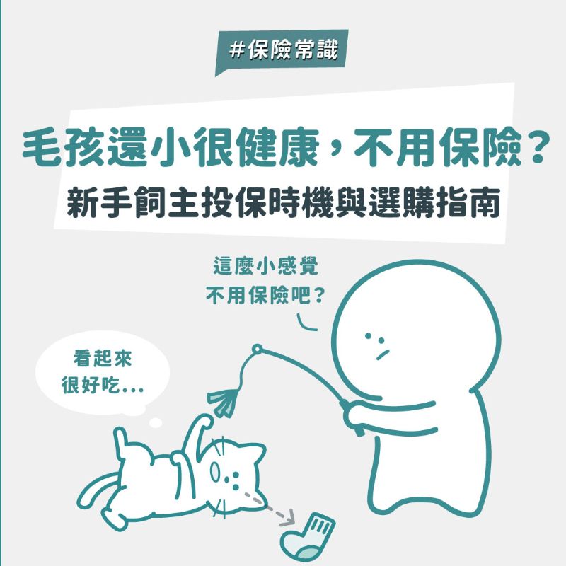 養貓狗要買寵物險嗎?2026 新手飼主必看的投保完整攻略