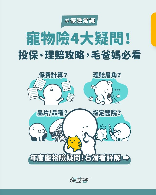 2026年寵物險6大疑問總解答｜投保、理賠攻略，毛爸媽必看！